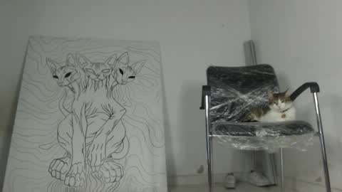 Antonella  online show from March 17, 2:27 am