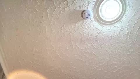 Emiily Carter online show from September 29, 8:24 pm