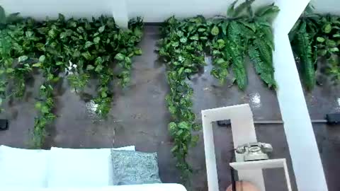 Snapshot of emiily_smile chatting on July 20, 1:24 pm Emily online show from July 20, 1:24 pm