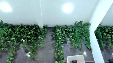 Snapshot of emiily_smile chatting on July 28, 12:48 pm Emily online show from July 28, 12:48 pm