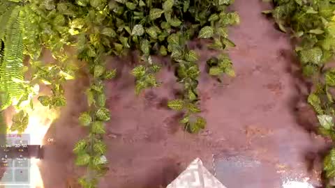 Snapshot of emiily_smile chatting on July 28, 4:27 pm Emily online show from July 28, 4:27 pm