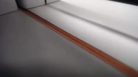 Snapshot of emily_hott1 chatting on February 24, 10:37 am emily hoot1 online show from February 24, 10:37 am