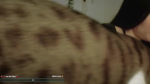 Emily Alexa online show from December 22, 1:08 pm