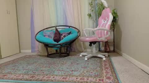 emily haze online show from November 8, 5:56 pm