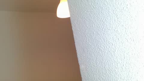 emmie online show from January 28, 8:25 am