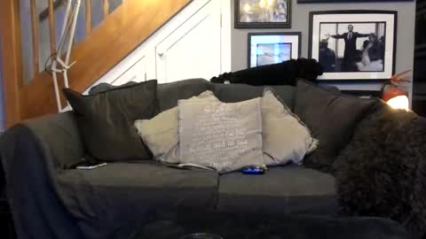 englishcouple81 online show from March 13, 11:33 pm