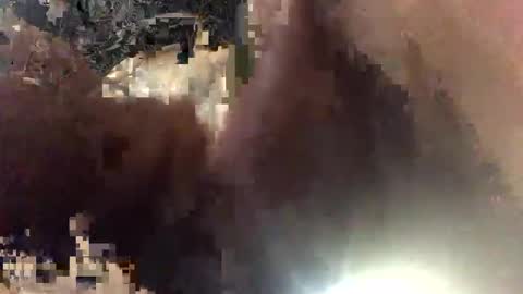 envegas89169 online show from November 9, 10:13 am