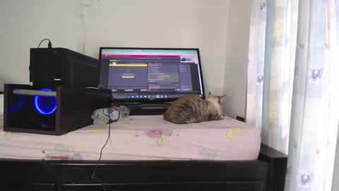 Snapshot of eolicasextwo chatting on January 10, 9:42 pm Eolicasextwo online show from January 10, 9:42 pm