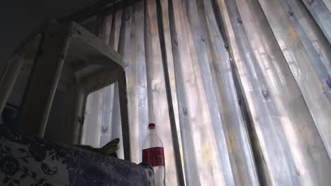 Snapshot of eolicasextwo chatting on February 18, 5:21 pm Eolicasextwo online show from February 18, 5:21 pm