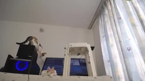 Snapshot of eolicasextwo chatting on March 10, 3:20 pm Eolicasextwo online show from March 10, 3:20 pm