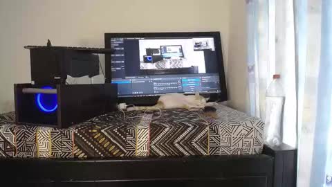 Snapshot of eolicasextwo chatting on December 18, 9:10 pm Eolicasextwo online show from December 18, 9:10 pm