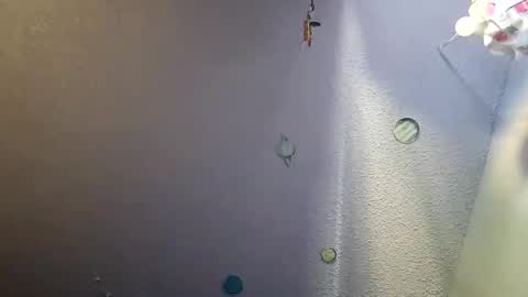 Snapshot of errrow chatting on December 20, 6:24 pm errrow online show from December 20, 6:24 pm