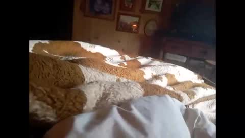 Snapshot of especuloshumeantes chatting on October 12, 11:20 am Gea y Uranus online show from October 12, 11:20 am