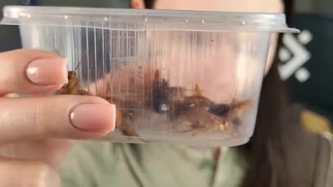 kelt0901 - my channel in telegra online show from February 21, 2:07 pm