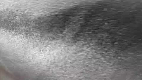 greetings  sergi  online show from November 30, 6:56 pm