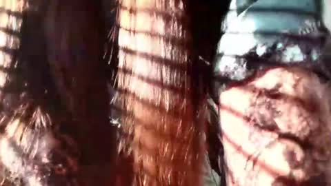 Snapshot of eva_depp chatting on January 22, 12:27 pm Evaa Depp online show from January 22, 12:27 pm