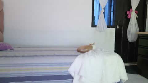 Snapshot of eva_sin18 chatting on June 12, 11:25 pm Eva Sin online show from June 12, 11:25 pm