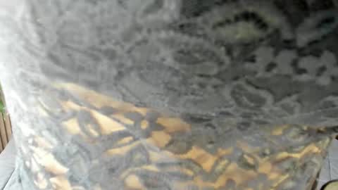 Snapshot of evaa_campbell chatting on April 15, 2:24 pm Eva online show from April 15, 2:24 pm