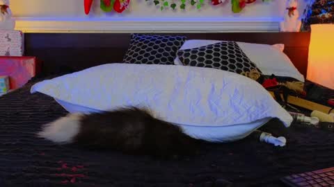 Eva online show from December 8, 4:25 am