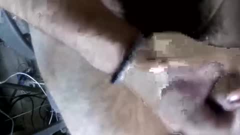 eveline_figeroa3 online show from June 26, 1:21 am