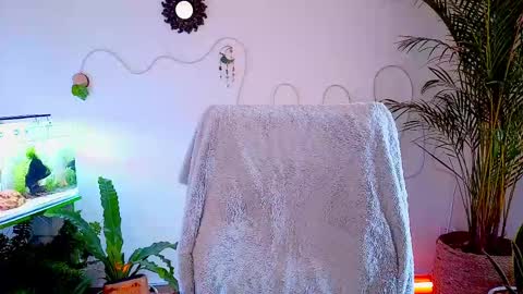 Im Eve or Chelle Next Stream 191224  online show from May 2, 4:56 pm