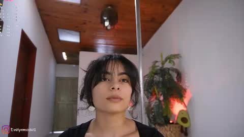 Snapshot of evelyn_evelyn chatting on June 11, 4:16 pm evelyn evelyn online show from June 11, 4:16 pm