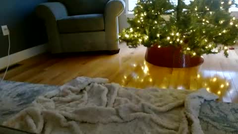 Everleighmae online show from December 9, 1:24 pm