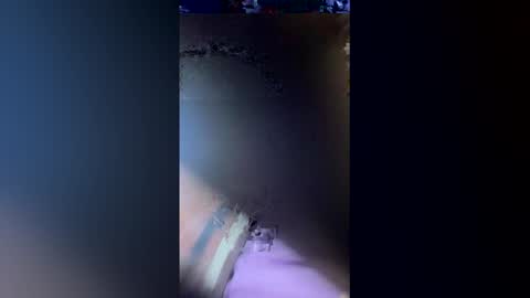 Snapshot of exotico202720 chatting on May 31, 3:26 am exotico202720 online show from May 31, 3:26 am