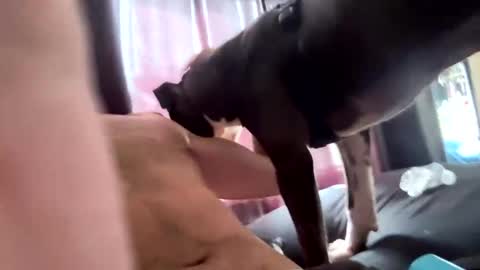 Snapshot of eyesonmichaza chatting on October 10, 4:28 pm MichazaXO online show from October 10, 4:28 pm