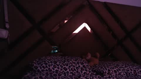 eyshaexotii online show from March 18, 12:14 am