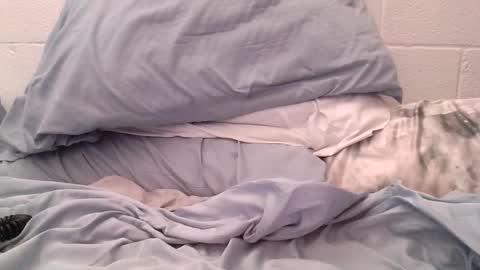 ez37going88 online show from April 21, 2:12 pm