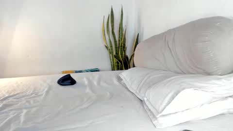 -  A N D E R online show from October 24, 2:24 pm