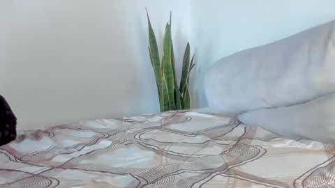 Snapshot of fabrizio_amery chatting on January 11, 2:00 pm - A N D E R online show from January 11, 2:00 pm