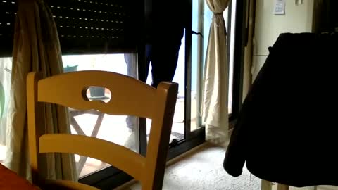 Fabro online show from March 7, 10:56 am