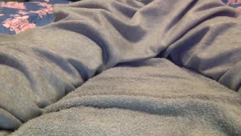 Snapshot of facedownassup219267 chatting on January 25, 8:42 pm facedownassup219267 online show from January 25, 8:42 pm