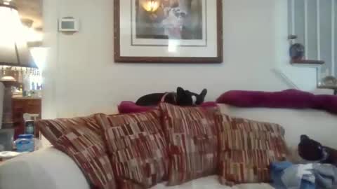 fairmount31 online show from November 12, 4:51 pm