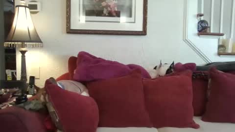 fairmount31 online show from February 13, 1:51 pm