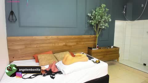 Megan    630  1330 -5 online show from February 23, 11:40 am