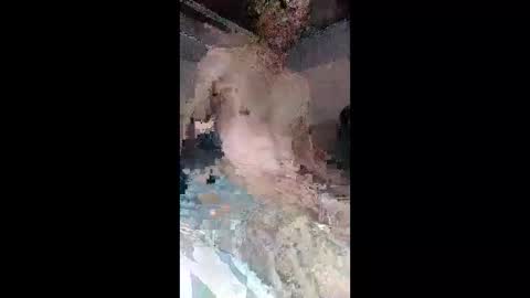 faloshows online show from June 9, 1:39 am