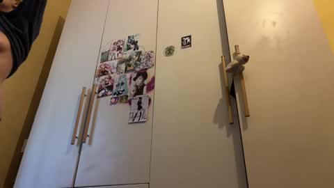 Gattino online show from September 29, 12:21 pm