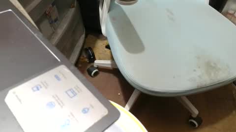 Fred. online show from November 7, 8:53 pm