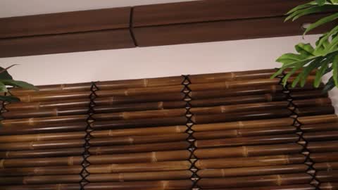 Fayeslate online show from November 20, 5:51 am