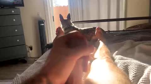 Snapshot of feetomines chatting on October 18, 3:57 pm FEETOMINES online show from October 18, 3:57 pm