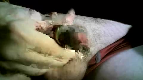 felicaste online show from November 26, 8:43 pm