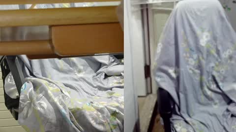 Snapshot of felixlau chatting on December 12, 11:50 am felixlau online show from December 12, 11:50 am