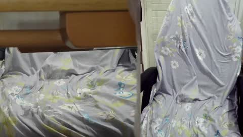 Snapshot of felixlau chatting on December 23, 1:13 pm felixlau online show from December 23, 1:13 pm