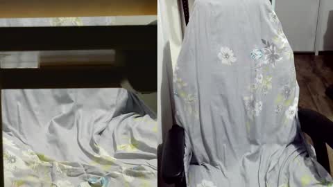 Snapshot of felixlau chatting on March 9, 10:41 am felixlau online show from March 9, 10:41 am