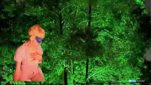 Daniani online show from March 1, 10:12 pm