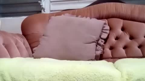 Snapshot of feo97 chatting on November 16, 1:44 am Feo.g online show from November 16, 1:44 am