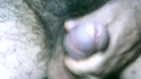 Snapshot of fer_2197 chatting on January 1, 4:29 pm fer_2197 online show from January 1, 4:29 pm